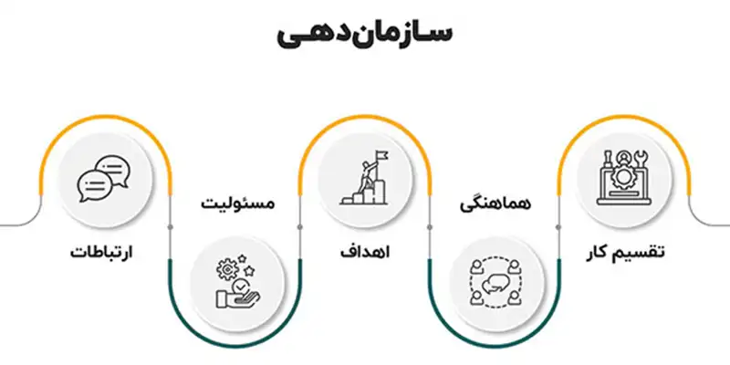 نظم