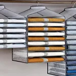 نظم-دهنده